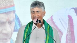 ప్రజాసేవకు కేర్ ఆఫ్ అడ్రస్ అంటే బాలకృష్ణ: చంద్రబాబు ప్రశంసల వర్షం