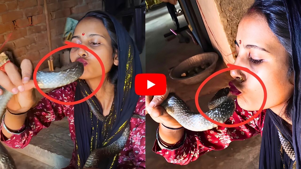 ప్రాణాలతో చెలగాటం.. కింగ్ కోబ్రాకు ముద్దు పెట్టిన యువతి.. నెటిజన్లు షాక్