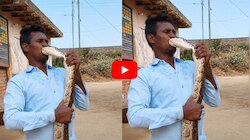 Python Video: కొండచిలువకు ముద్దు పెట్టబోయాడు.. కట్ చేస్తే ముక్కు, నోరు కొరికేసింది.. వైరల్! 