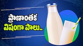 ప్రాణాంతక విషంగా పాలు.. మెదక్‌లో గుట్టుచప్పుడు కాకుండా కల్తీ పాల దందా..