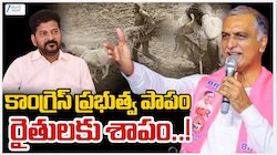 బొగ్గు, విద్యుత్‌, ఇసుక, భూమి.. కాంగ్రెస్ పాలన అంతా స్కాముల మయంగా మారింది: హరీశ్‌ రావు