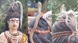 Snake Video: మహానందిలో అద్బుతం.. శివుడి విగ్రహం మీద ప్రత్యక్షమైన నాగుపాము.. వీడియో వైరల్.. 