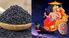 Shanibhagwan: శనీశ్వరునికి నల్ల నువ్వులు అంటే ఎందుకంత ప్రీతి..?.. తైలాభీషేకం వెనుక ఈ రహస్యాలు మీకు తెలుసా..?..