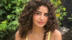 Anupama Parameswaran:లవ్ బ్రేకప్ తర్వాత పక్క క్లారిటీ ఇచ్చేసిన అనుపమ పరమేశ్వరన్.. 