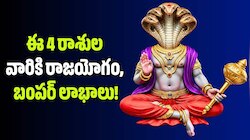 రాహువు ధనిష్ఠా నక్షత్ర సంచారం.. ఈ 4 రాశుల వారికి రాజయోగం, బంపర్ లాభాలు! 