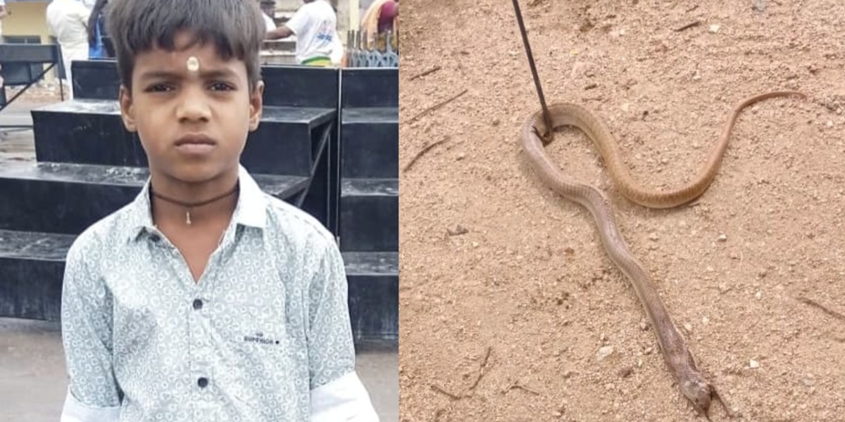 నారాయణపేటలో విద్యార్థి పాము కాటుతో మృతి