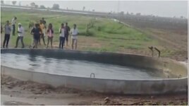 Gujarat: బాబోయ్.. వ్యవసాయ బావిలో ఎగిసి పడుతున్న అలలు.. షాక్ లో స్థానికులు.. వీడియో వైరల్..
