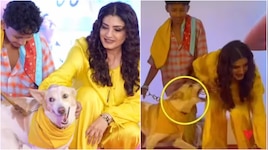 Raveena tandon: జస్ట్ మిస్.. వేదిక మీద కుక్క కాటు నుంచి బైటపడ్డ రవీనా టాండన్.. షాకింగ్ వీడియో..