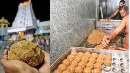 శ్రీవారి లడ్డూ విశిష్టతతో బంగారు నాణెం విడుదలకు టీటీడీ సన్నాహాలు..