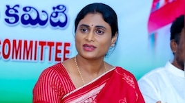 YS Sharmila: తప్పుడు లెక్కలతో చంద్రబాబు చెప్పేదంతా సొంత డబ్బా: వైఎస్‌ షర్మిల