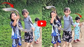 Snake Video: ఒళ్లు గగుర్పొడిచే దృశ్యం.. భారీ పాముతో పిల్లల ఆటలు.. వీడియో!