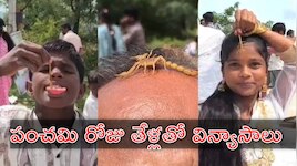 Thella Panchami: తేళ్లతో ఆడుకున్న భక్తులు.. తేళ్ల పంచమి విశిష్టత ఏమిటో తెలుసా?