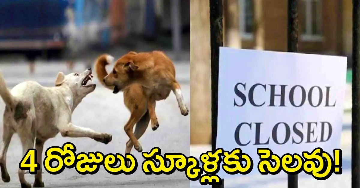 స్కూల్ విద్యార్థులపై వీధికుక్కల వరుస దాడులు..ఆ స్కూళ్లకు వరుసగా 4 రోజులు సెలవులు