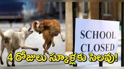 School Holidays: స్కూల్ విద్యార్థులపై వీధికుక్కల వరుస దాడులు..ఆ స్కూళ్లకు వరుసగా 4 రోజులు సెలవులు!