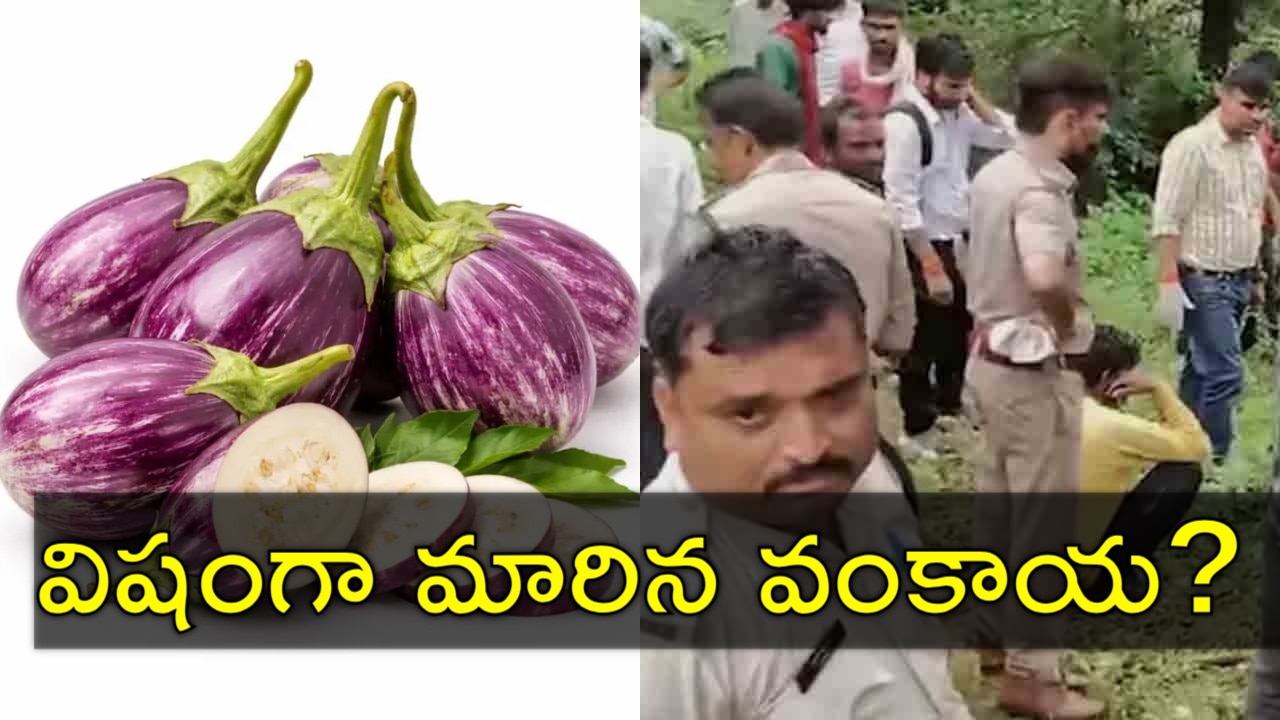 వంకాయ కూర తిని ముగ్గురు చెల్లెళ్లు మృతి