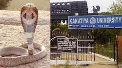 Warangal: వరంగల్ కేయూ లేడీస్ హస్టల్‌లో పాముల కలకలం.!. భయంతో పరుగులు పెట్టిన విద్యార్థినులు.. వీడియో వైరల్..