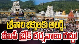 VIP Break Darshan: వరుసగా నాలుగు రోజుల సెలవులు.. తిరుమల వీఐపీ బ్రేక్‌ దర్శనాలు రద్దు