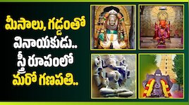 నరముఖం నుంచి మీసాలు, గడ్డం వరకు.. దేశంలో భిన్న రూపాల్లో దర్శనమిచ్చే వినాయకులు వీరే!