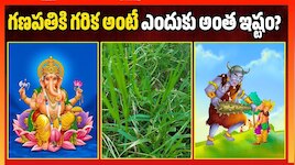 గణపతికి గరిక అంటే ఎందుకు అంత ఇష్టం? 21 గరికపోచల వెనుక ఉన్న అనలాసురుడి కథ ఇదే!