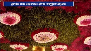 తిరుమలలో ఘనంగా సాలకట్ల బ్రహ్మోత్సవాల అంకురార్పణ.. విశ్వక్సేనుల వారి ఊరేగింపు!