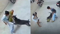 Sonipat Pitbull Attack: దారుణం.. ఆరు నెలల చిన్నారిపై విరుచుకుపడ్డ పెంపుడు పిట్ బుల్ శునకం.. షాకింగ్ వీడియో..
