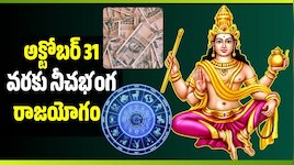 AP Local Body Elections News News in Telugu, Latest AP Local Body ...