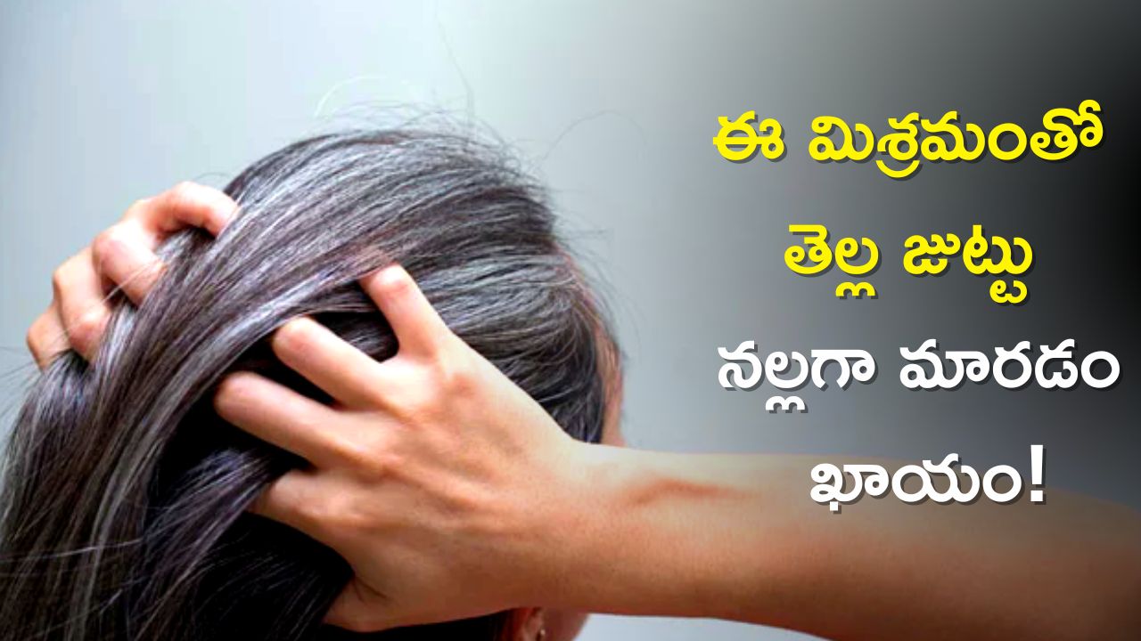  White Hair Problem: ఈ మిశ్రమాన్ని మూడు వారాలు అప్లై చేస్తే శాశ్వతంగా తెల్ల జుట్టు నల్లగా మారడం ఖాయం! నమ్మట్లేదా?