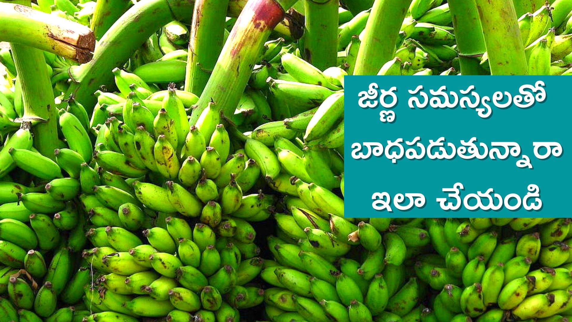 Healthy Digestion With Banana Banana Gives Rid From Diabetes And