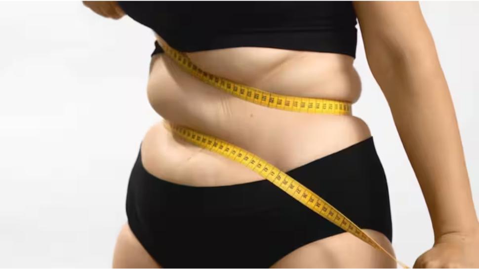 Belly Fat Exercise For Women