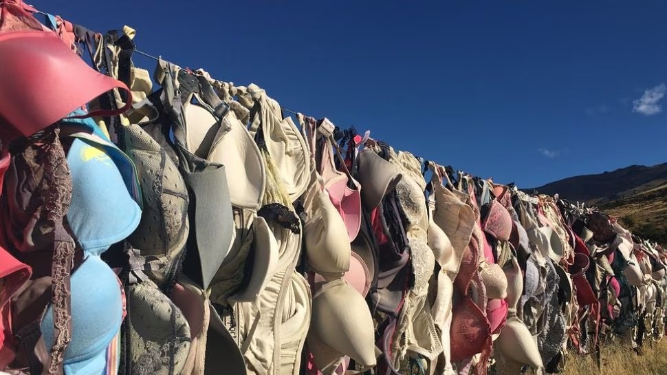 Bra Fence