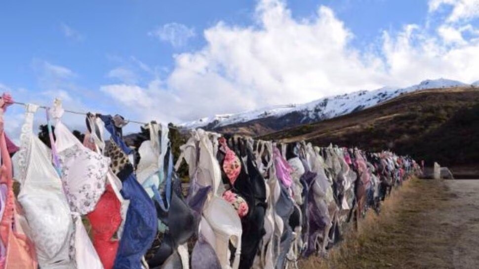 Bra Fence New Zealand
