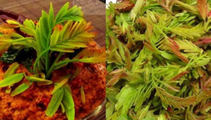 Tasty Chutney Recipe