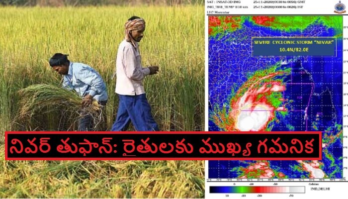 Nivar cyclone live updates: రైతులకు రాష్ట్ర ప్రభుత్వం హెచ్చరిక