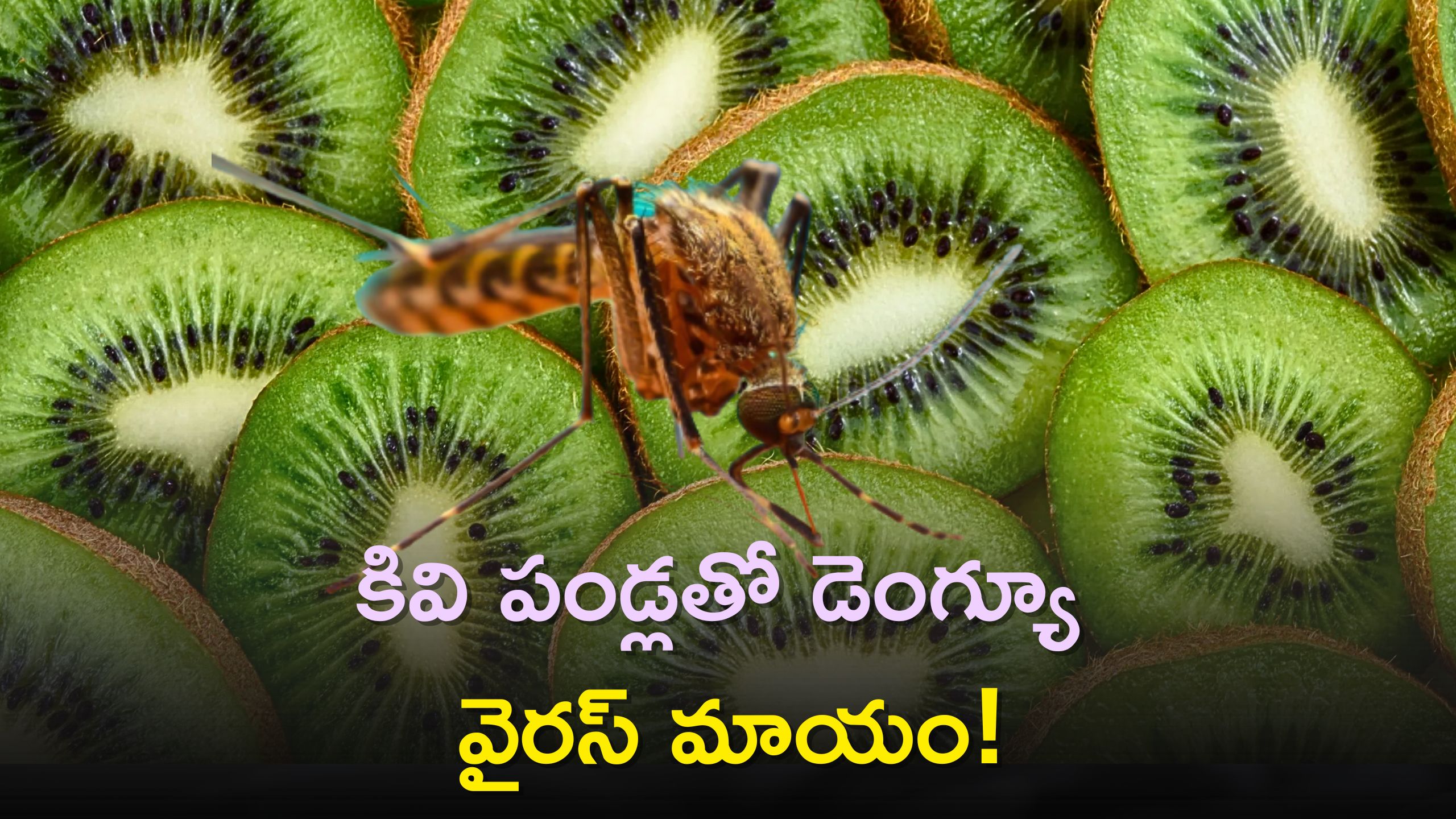 dengue-fever-prevention-if-people-suffering-from-dengue-disease-eat