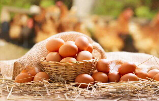 Egg and Turmeric