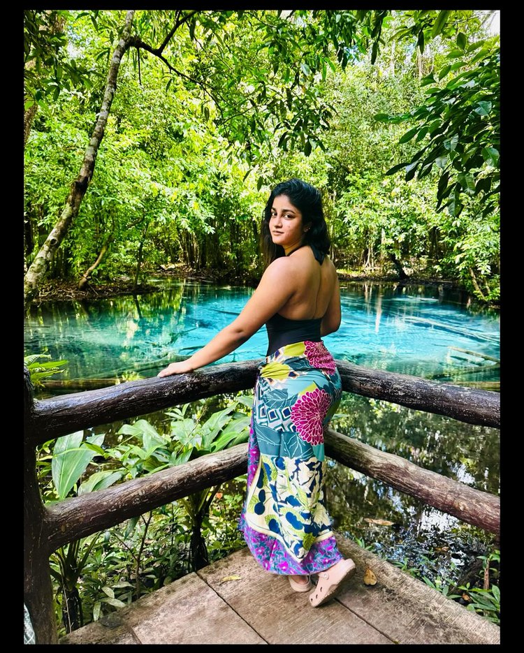 Dimple Hayathi Telugu Movies 