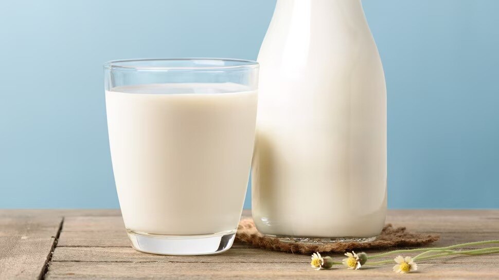 dairy cow milk