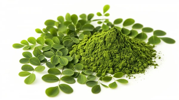 Tasty Mungakku Powder Recipe 