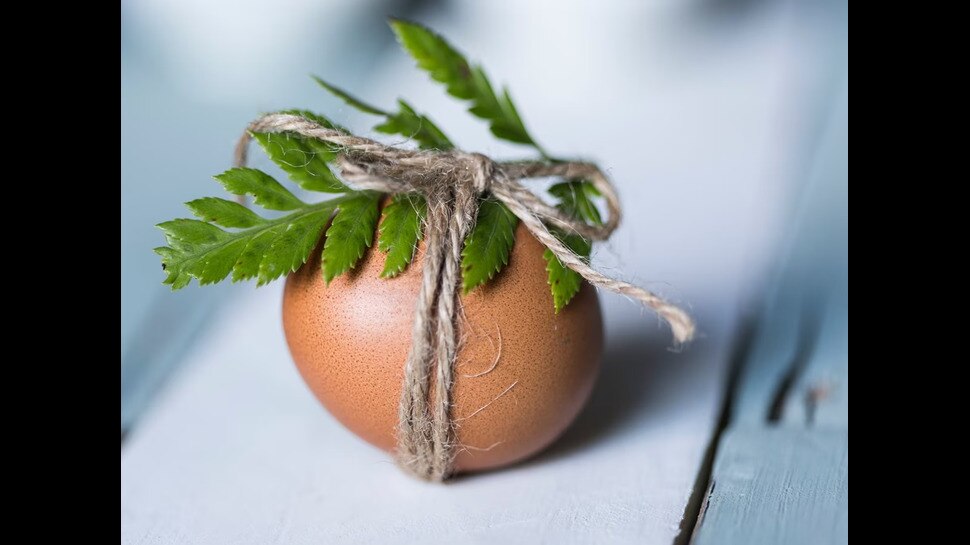 EGG Rate Today Hyderabad Egg prices are highest in Switzerland and