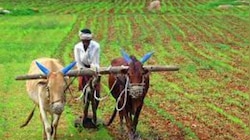 ఈసారి బడ్జెట్లో రైతులకు శుభవార్త అందనుందా? ఆర్థిక మంత్రి సంచలన ప్రకటన చేసే ఛాన్స్ ?