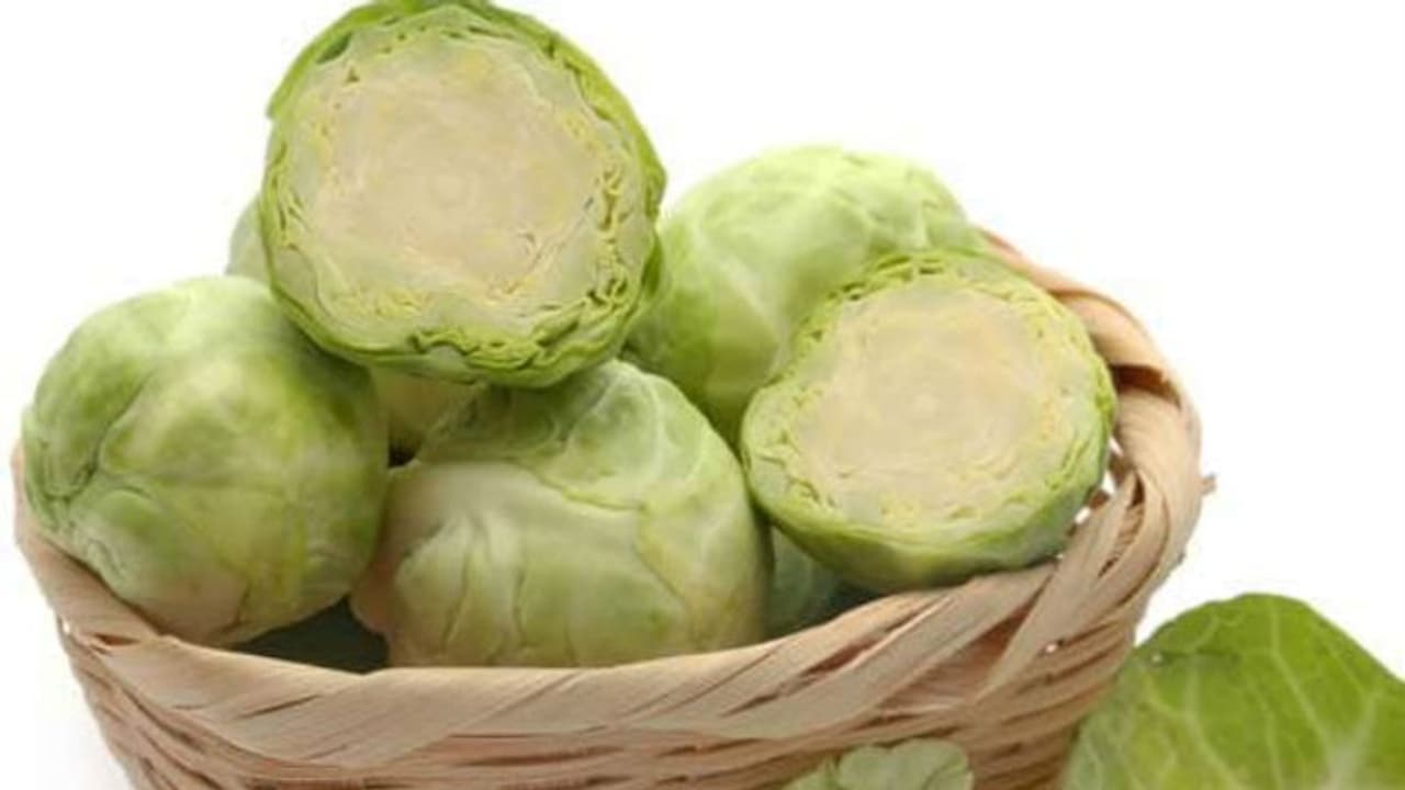 Cabbage