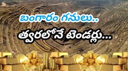 భలే జాక్‌పాట్‌.. మూడు కిలోమీటర్ల భూగర్భంలో బంగారు గని.. త్వరలోనే టెండర్లు..!! 