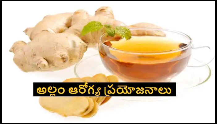 Ginger health benefits: రోజూ అల్లం తింటే కలిగే ఆరోగ్య ప్రయోజనాలు ఏంటి ?