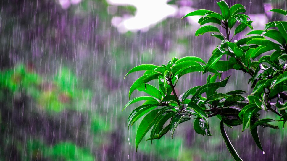 Hyderabad Rains