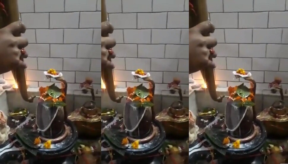 Maha Shivratri 2021: These Are The Ways To Please Lord ...