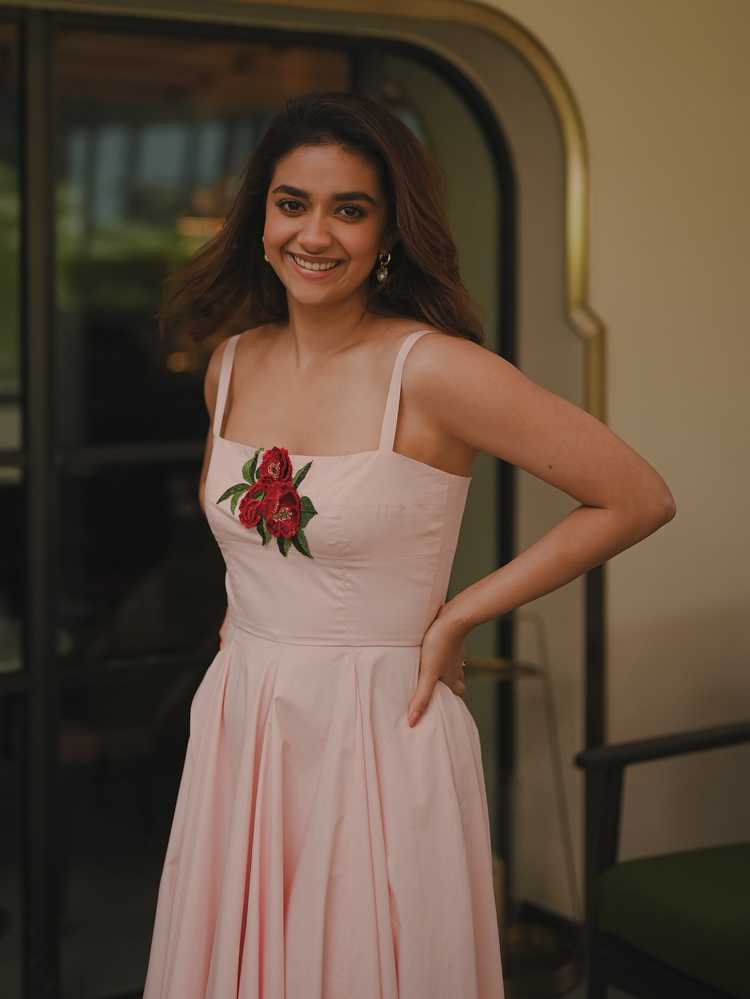 Keerthy Suresh Husband assets 