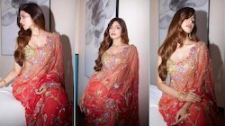 Malavika Mohanan: చీరలో ఒంపుసొంపులు ఆరబోసిన ప్రభాస్ హీరోయిన్..ఆ నడుము చూస్తే..!