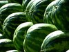 Water Melon Health Benefits