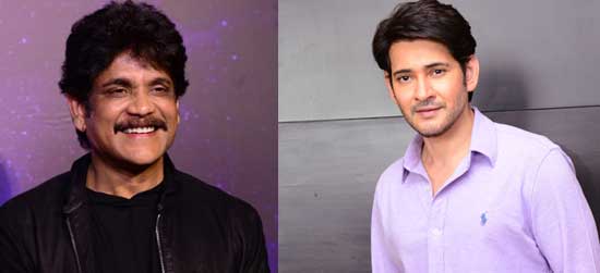 Mahesh Babu Cropped Nagarjuna 
