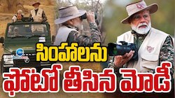 Modi Wild Photography: సింహాలను ఫోటోలు తీసిన ప్రధాని మోడీ.. 